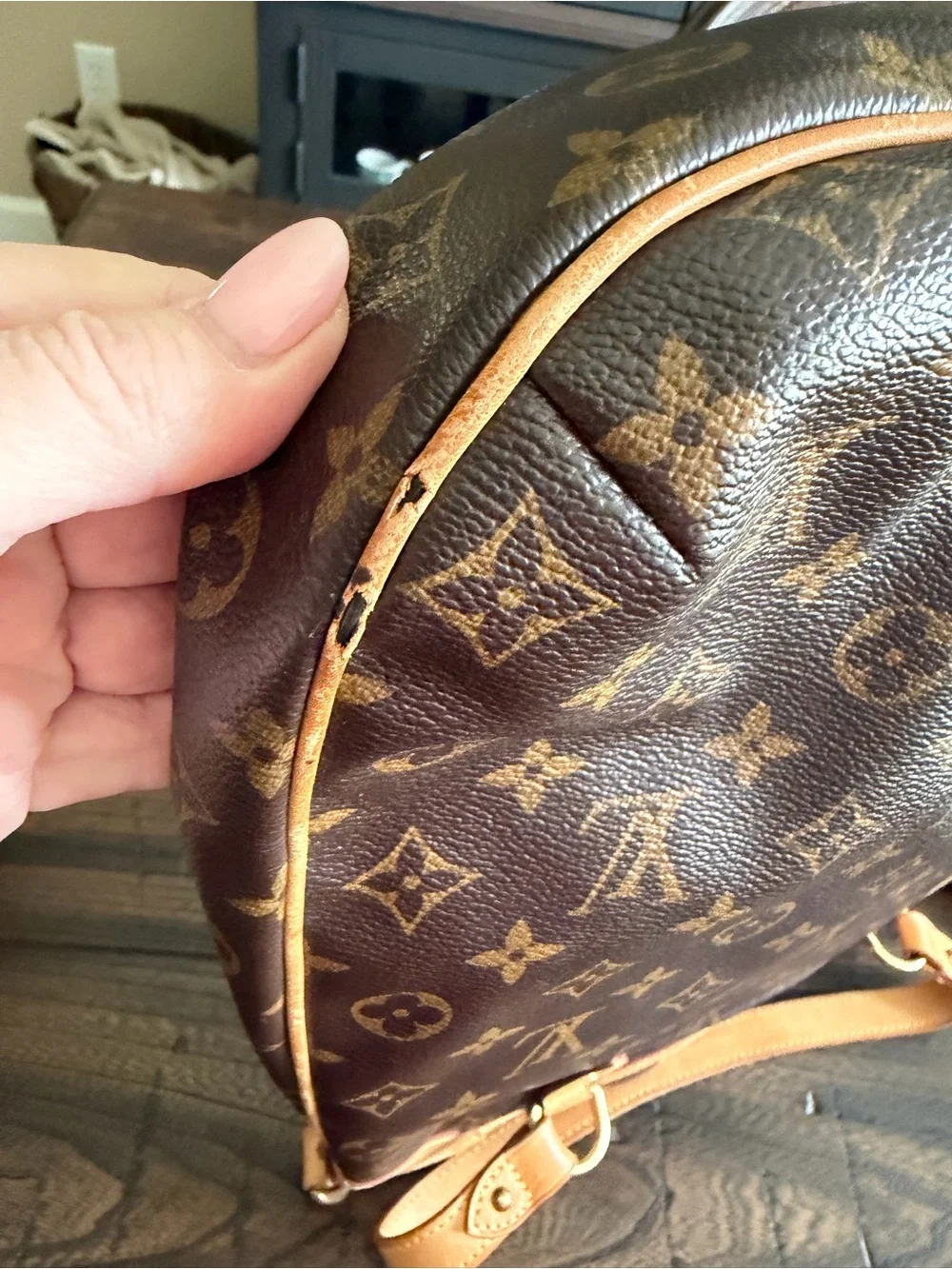 Louis Vuitton Monogram Canvas Tote with Vachetta Handles